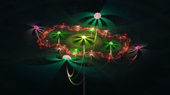 Flowers nature flower petals