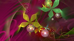 Flowers nature flower petals