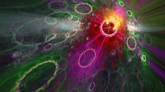 Flowers nature flower petals