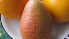 Flowers nature food fruits multicolor