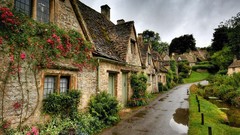 Flowers nature grass rain old roads houses
