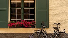 Flowers nature houses Bicycles cityscapes