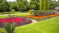 Flowers nature London Parks