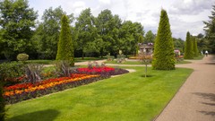 Flowers nature London Parks