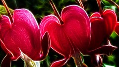 Flowers nature love light Hearts artwork Fractalius Bleeding 