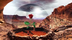 Flowers nature Mountains digital art