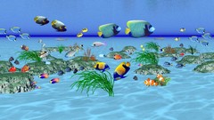 Flowers nature Mountains ocean