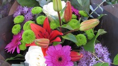 Flowers nature multicolor