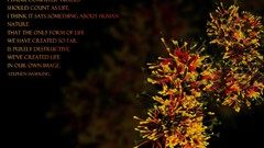 Flowers nature Quotes