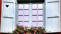 Flowers nature red window Hearts