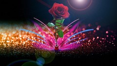 Flowers nature roses