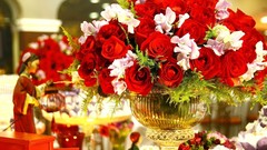 Flowers nature roses