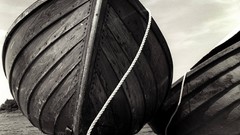 Flowers nature ships spring grayscale