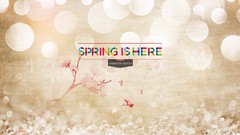Flowers nature spring Typography bokeh Smashing magazine