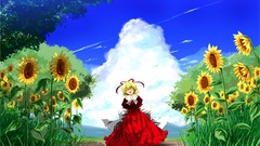 Flowers nature Trees clouds Sunflowers Plants Ribbons red dress 