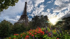 Flowers nature Trees Eiffel Tower Paris France cities skies