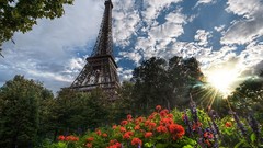 Flowers nature Trees Eiffel Tower Paris France sunlight cities 