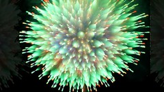 Flowers nature Trees fireworks forests