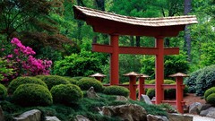 Flowers nature Trees Japanese gardens