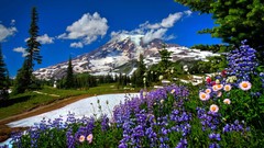 Flowers nature Trees Mountains skies