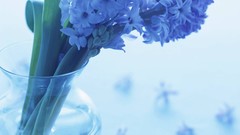 Flowers nature vase blue flowers