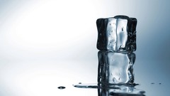 Flowers nature water ice spring