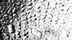 Flowers nature water spring