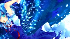 Flowers night Stars blue clouds ice wings Fairies dress Ribbons 