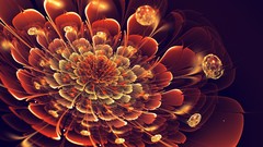 Flowers orange abstract geometry crystal flowers