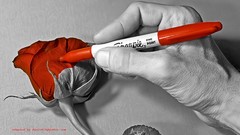 Flowers orange hands marker