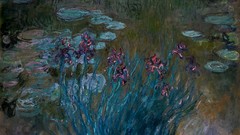Flowers paintings impressionism Irises Claude Monet lily pads 