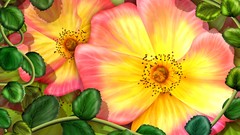 Flowers paintings multicolor