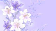 Flowers pattern purple backgrounds