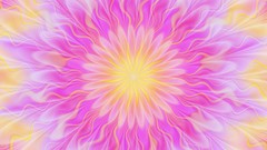 Flowers patterns pink fractal colors backgrounds multicolor 