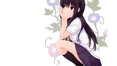 Flowers Plants white background socks schoolgirls skirts long 