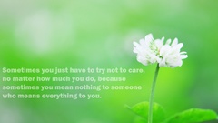 Flowers Quotes