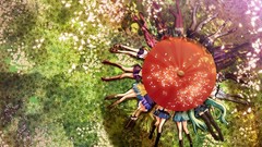 Flowers red Anime Umbrellas heroes upscaled