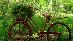 Flowers red bike Garden Bicycles
