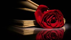 Flowers red Books roses