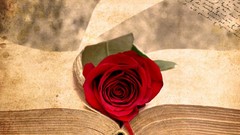 Flowers red Books roses red rose