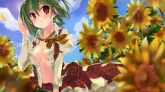 Flowers red eyes anime girls short hair green hair touhou 