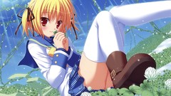 Flowers red eyes blondes