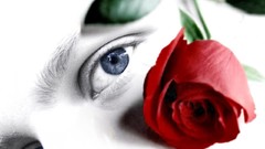 Flowers red eyes roses red rose