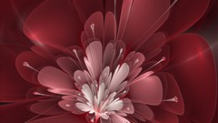 Flowers red Fractals August digital art