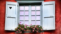 Flowers red France windows Plants Hearts architecture buildings