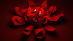 Flowers red love abstract young red background colors 