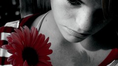 Flowers red Sunflowers black and white pink woman close-up 