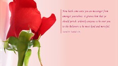 Flowers religion Islam mohammad