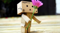 Flowers robot danboard toys (children)