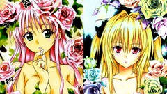 Flowers roses Anime red eyes blondes pink hair long hair anime 